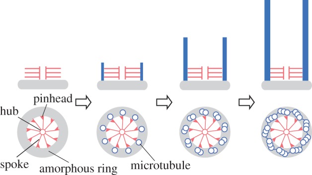 Figure 1.