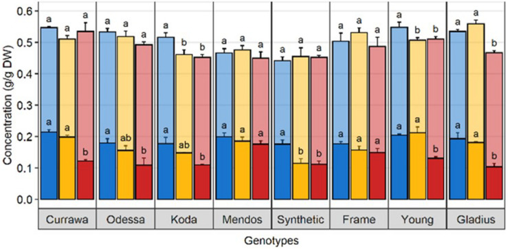 FIGURE 6