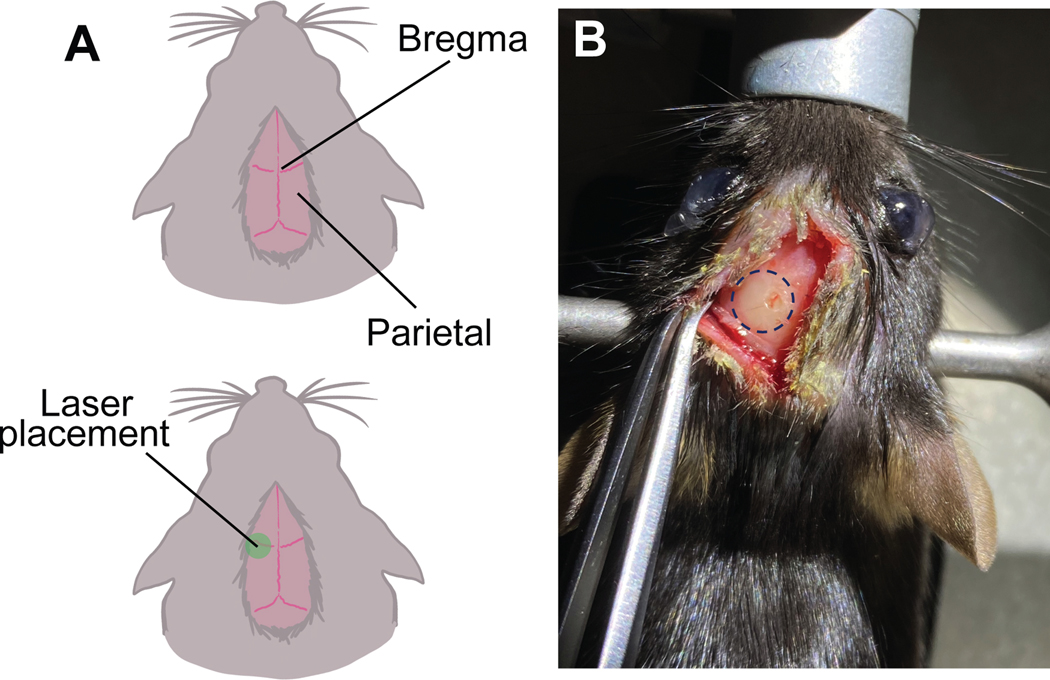 Figure 1.