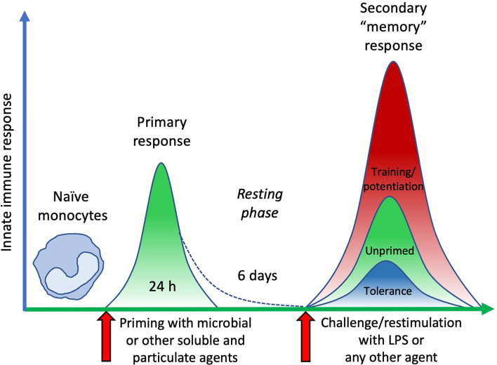 Figure 3