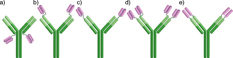 Fig. 1