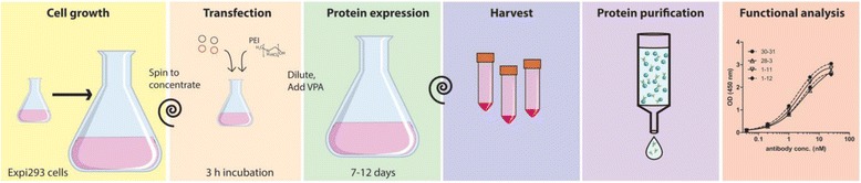 Fig. 2