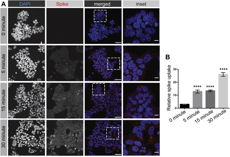 Figure 3