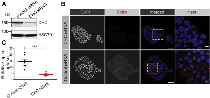 Figure 5