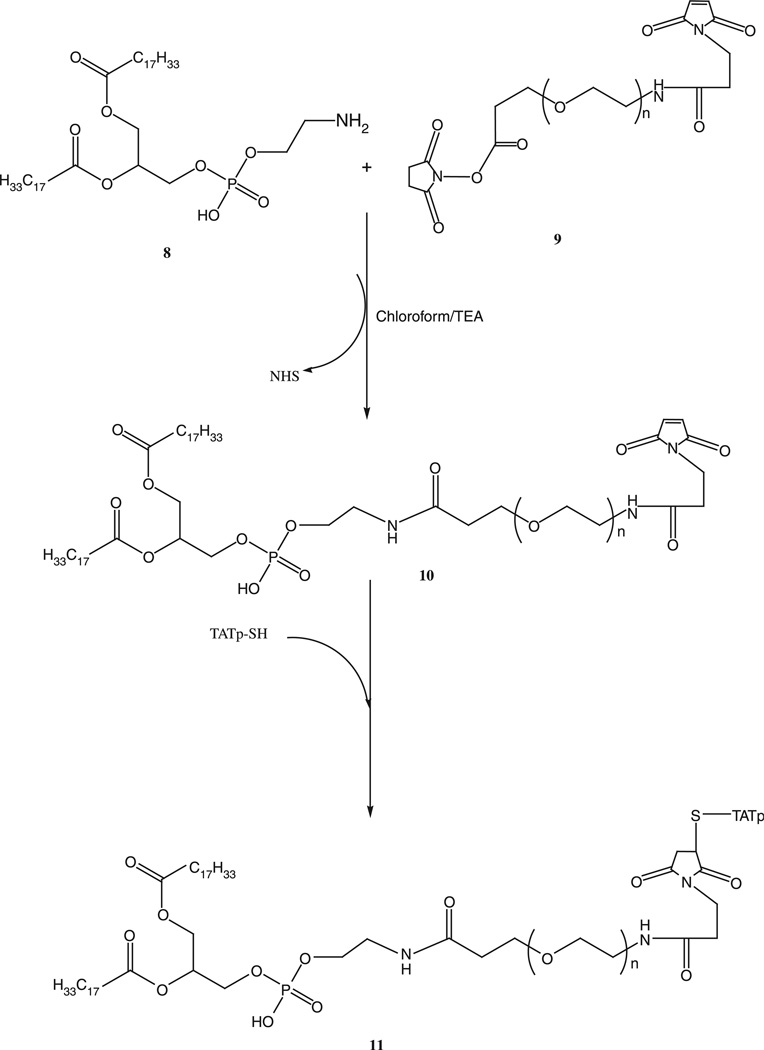 Scheme 4