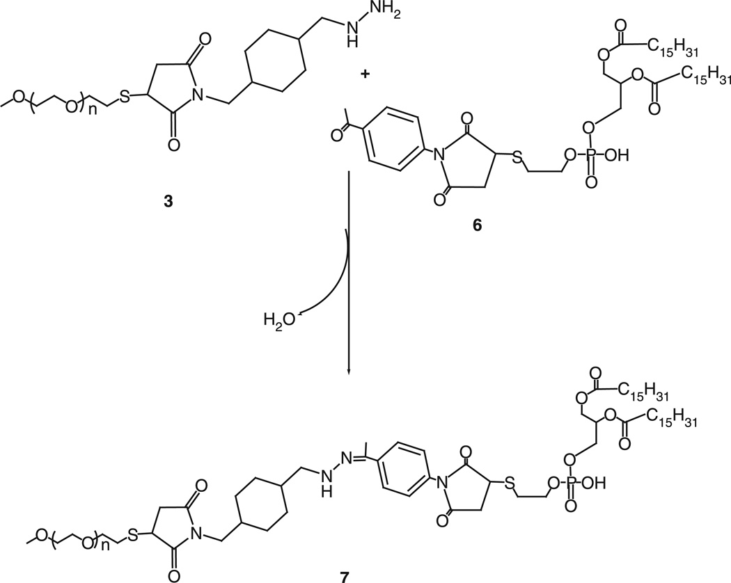 Scheme 3