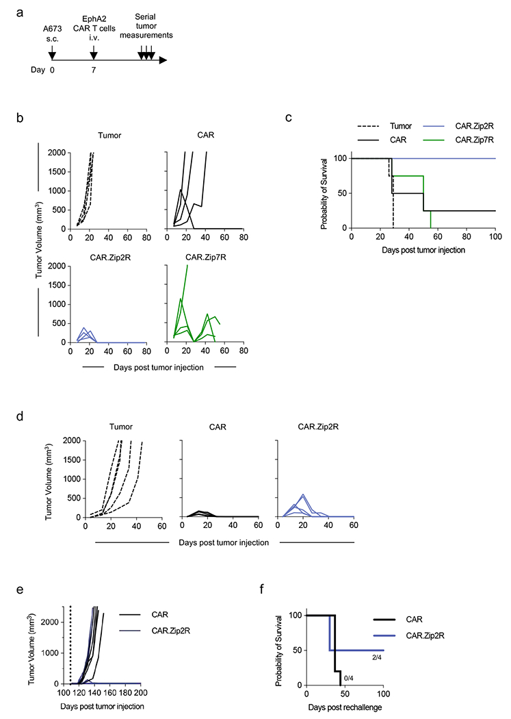 Extended Data Figure 7: