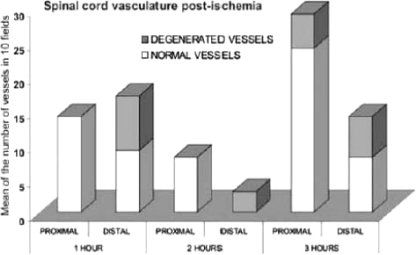 Graph 4