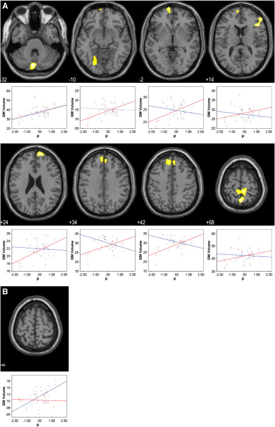 Fig. 2