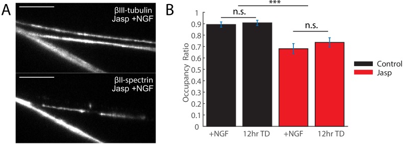 Figure 4—figure supplement 1.