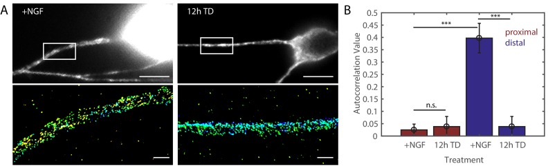 Figure 1—figure supplement 2.