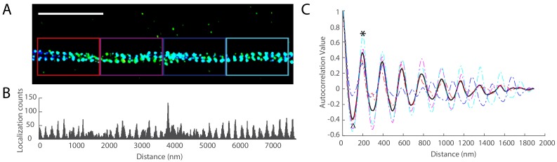 Figure 1—figure supplement 1.