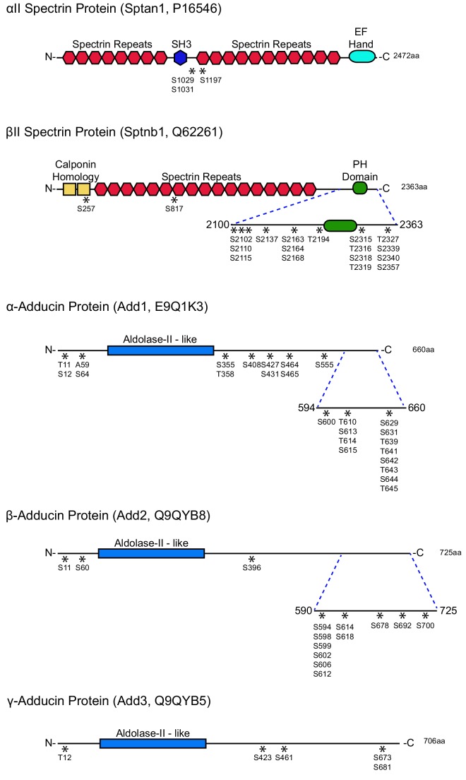 Figure 2—figure supplement 2.