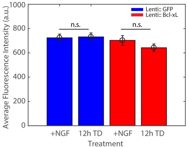 Figure 2—figure supplement 1.