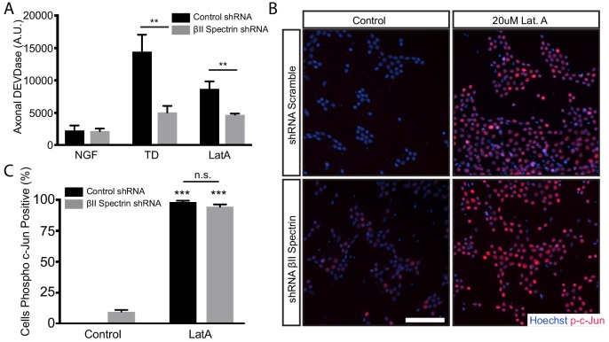 Figure 5—figure supplement 3.