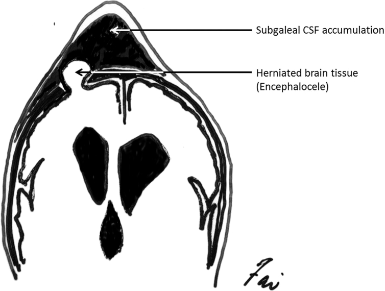 Fig. 4