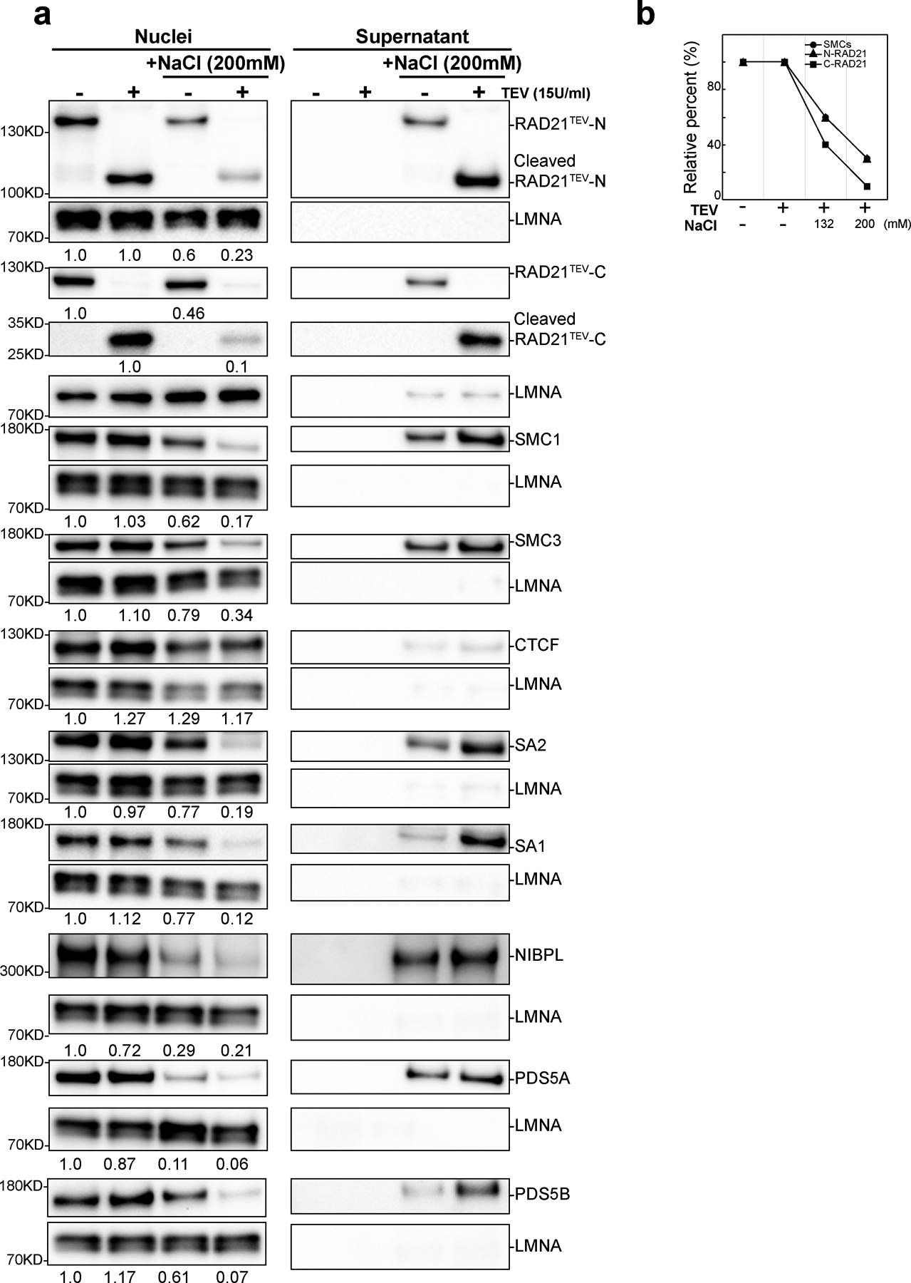 Extended Figure 6