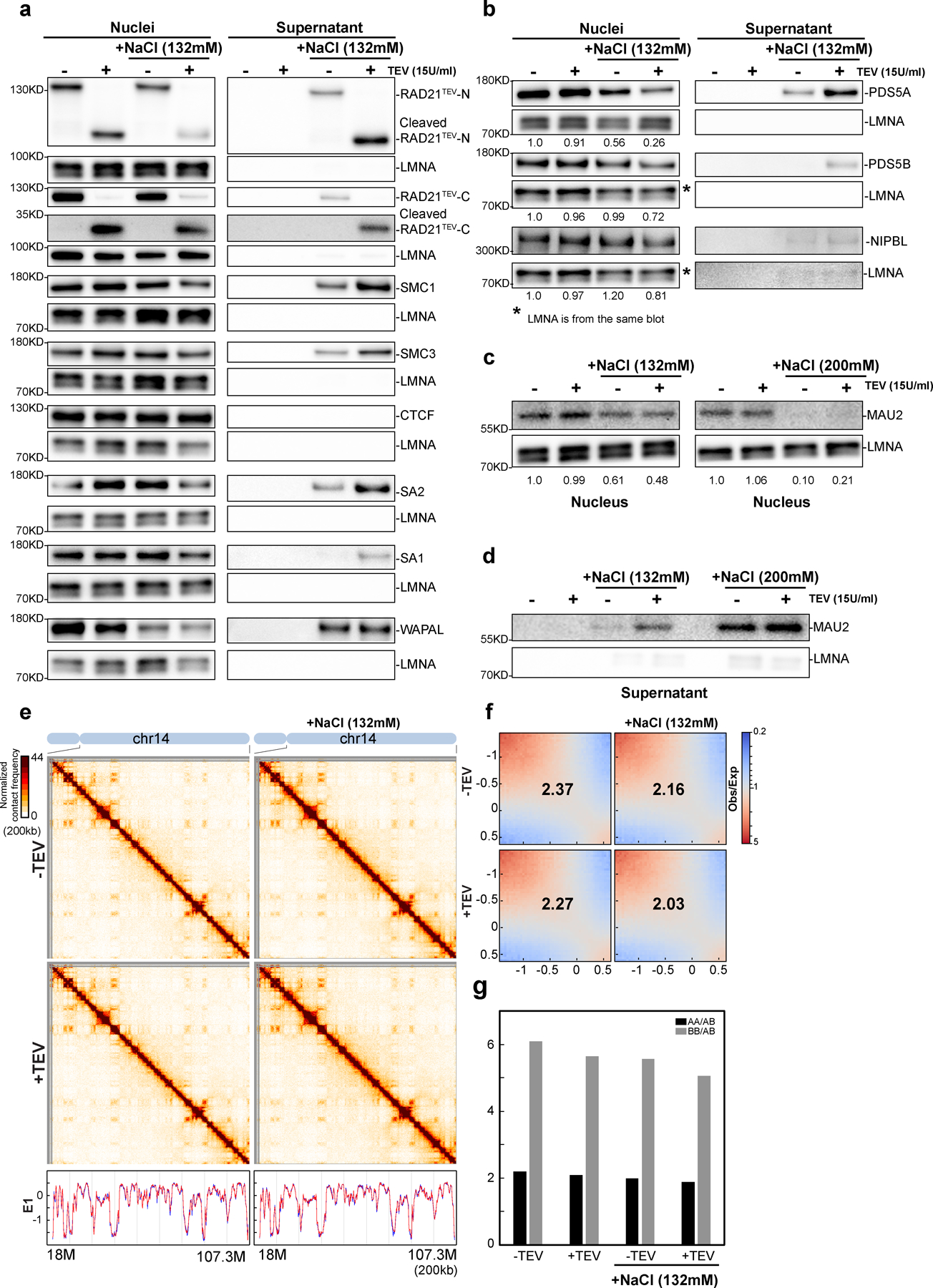 Extended Figure 4