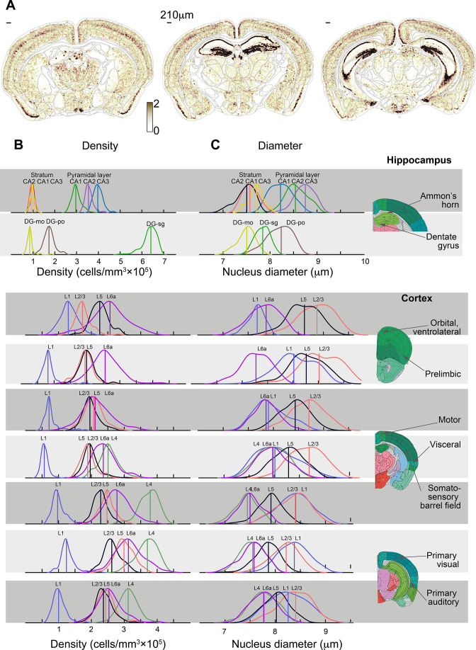 Figure 2—figure supplement 3.