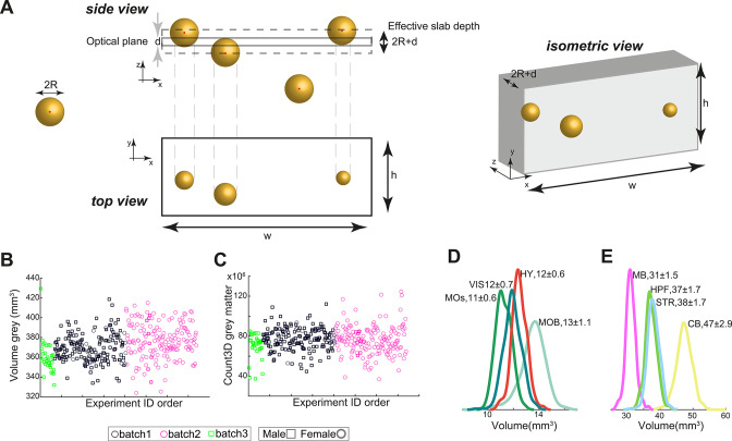 Figure 2—figure supplement 1.