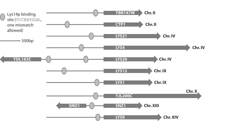 FIG. 7.