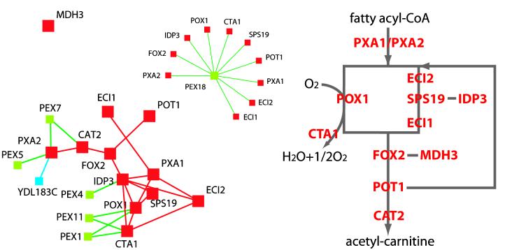 FIG. 4.