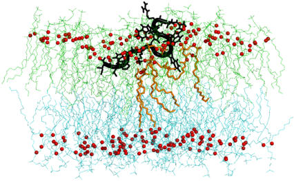 FIGURE 3