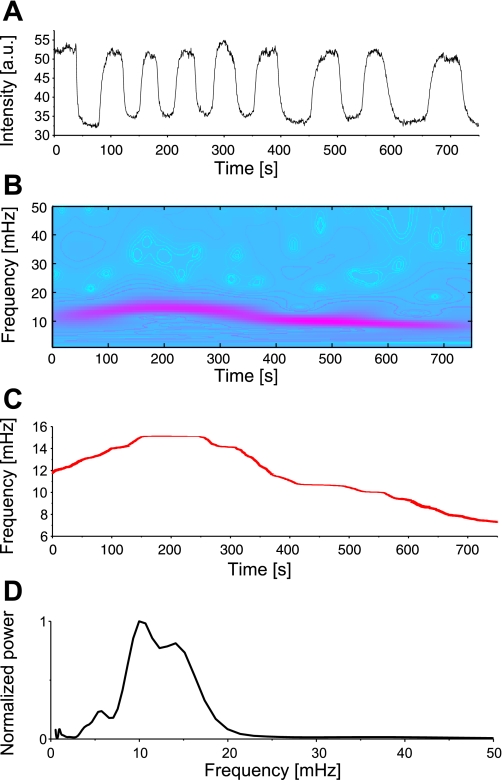 Fig. 3.