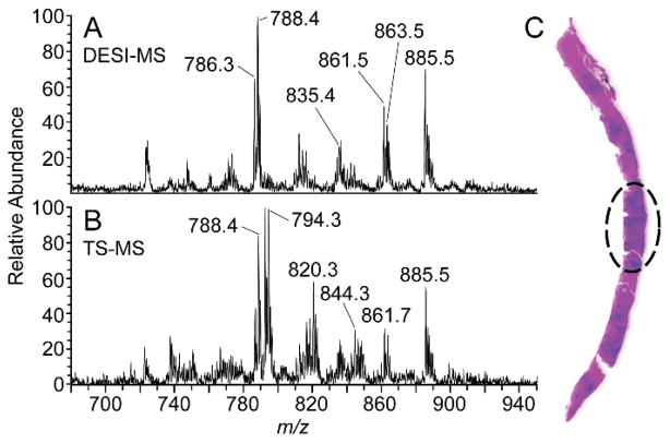 Fig. 3