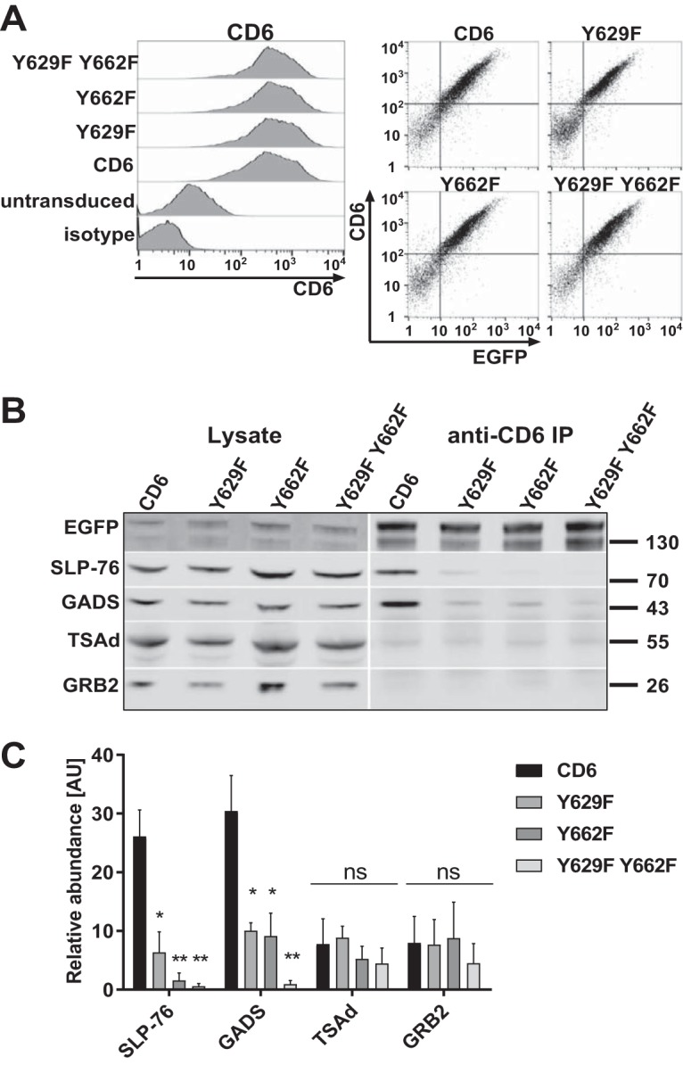 FIG 2