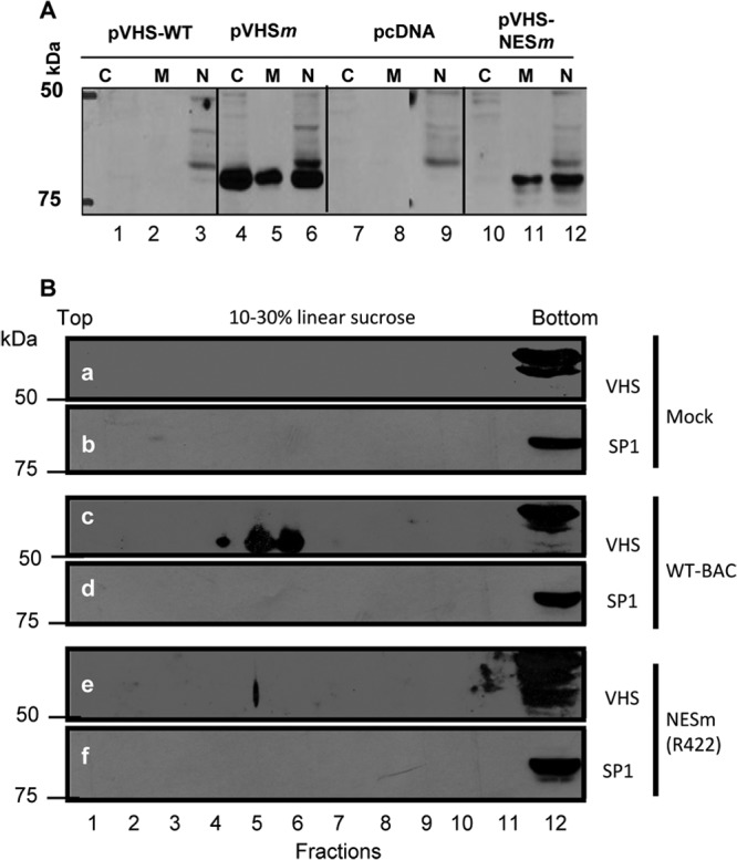 Fig 5