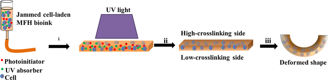 Scheme 1.