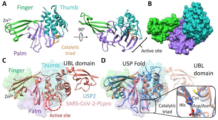 Fig. 4