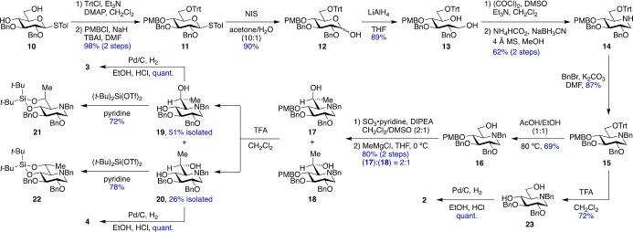 Scheme 2