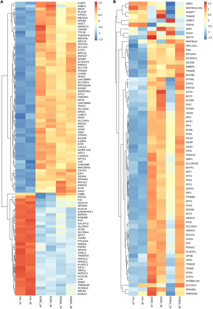 Figure 2