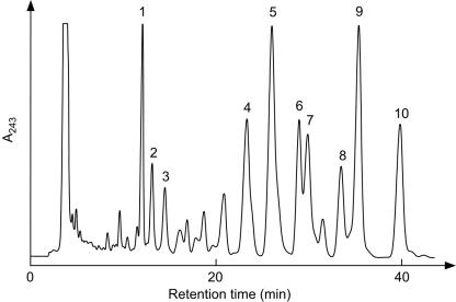 FIG. 5.