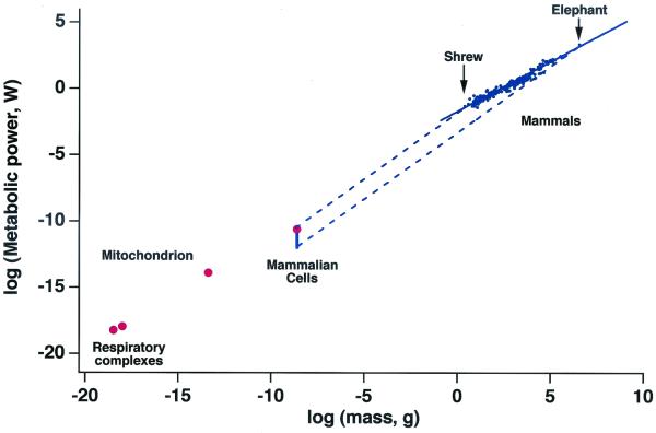 Fig 1.