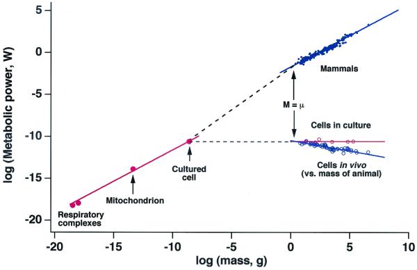 Fig 4.