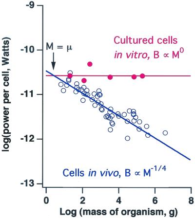 Fig 2.