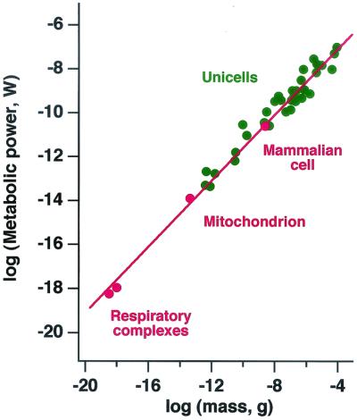 Fig 3.