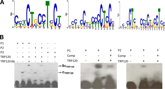 Fig. 4.