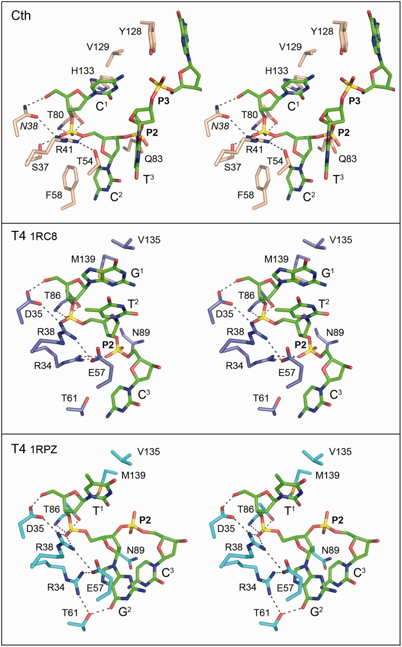 Figure 6.