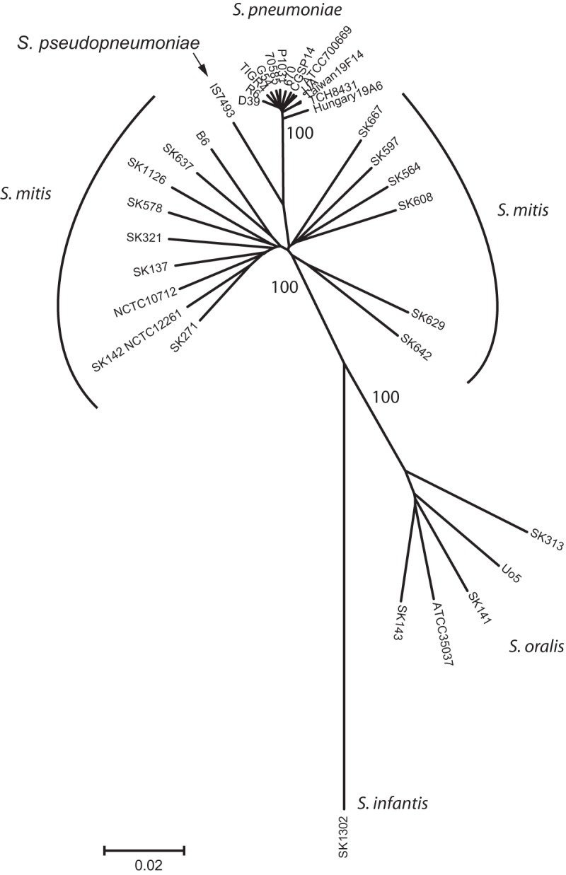 FIG 1 