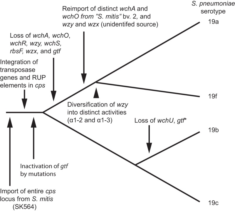 FIG 4 