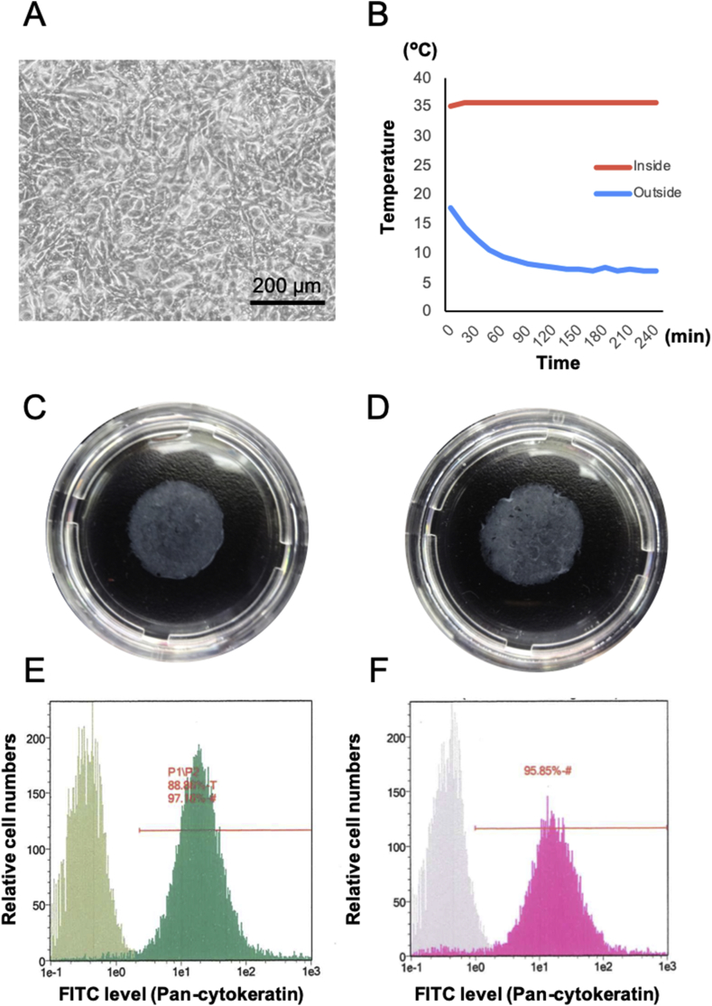 Fig. 3