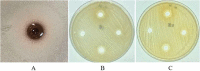 Figure 5.
