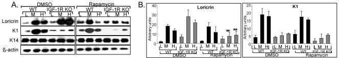 FIG. 9.