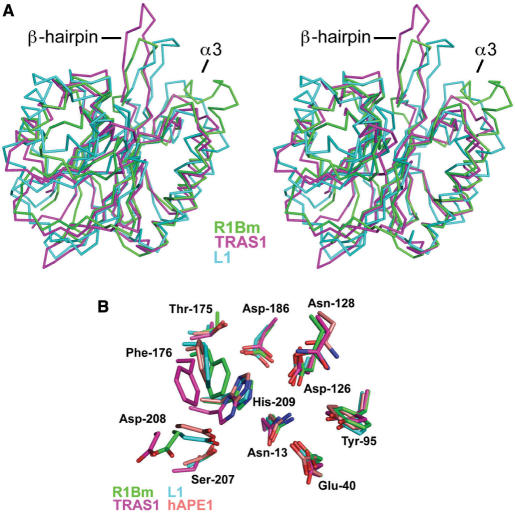 Figure 5.