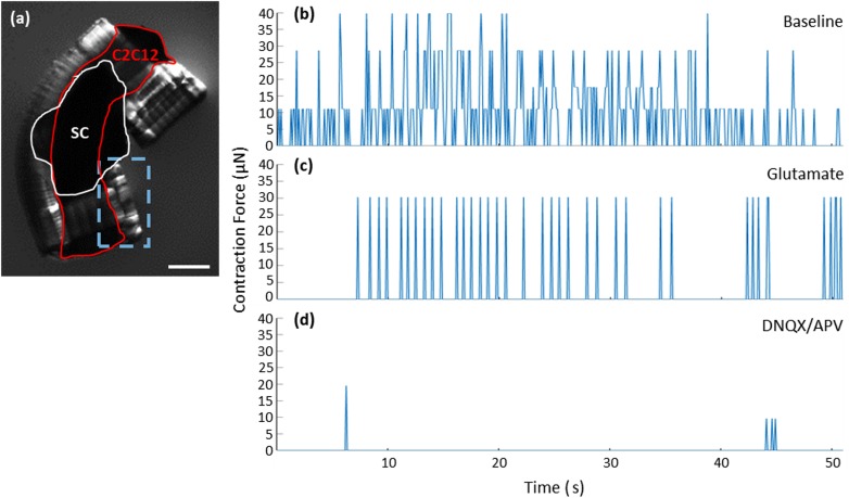 FIG. 4.