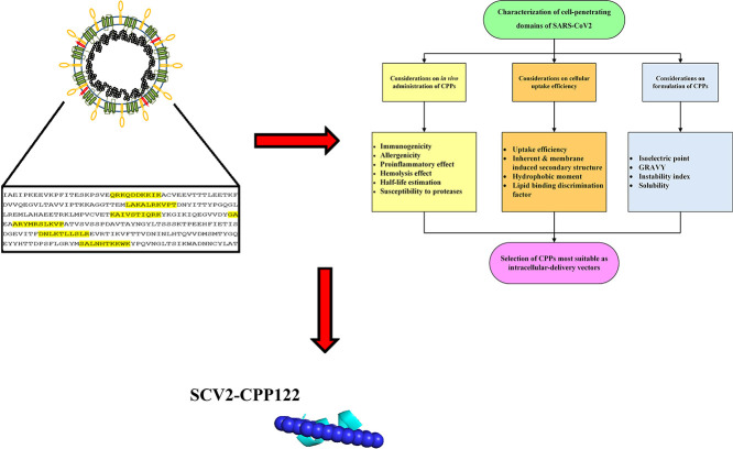 Unlabelled Image